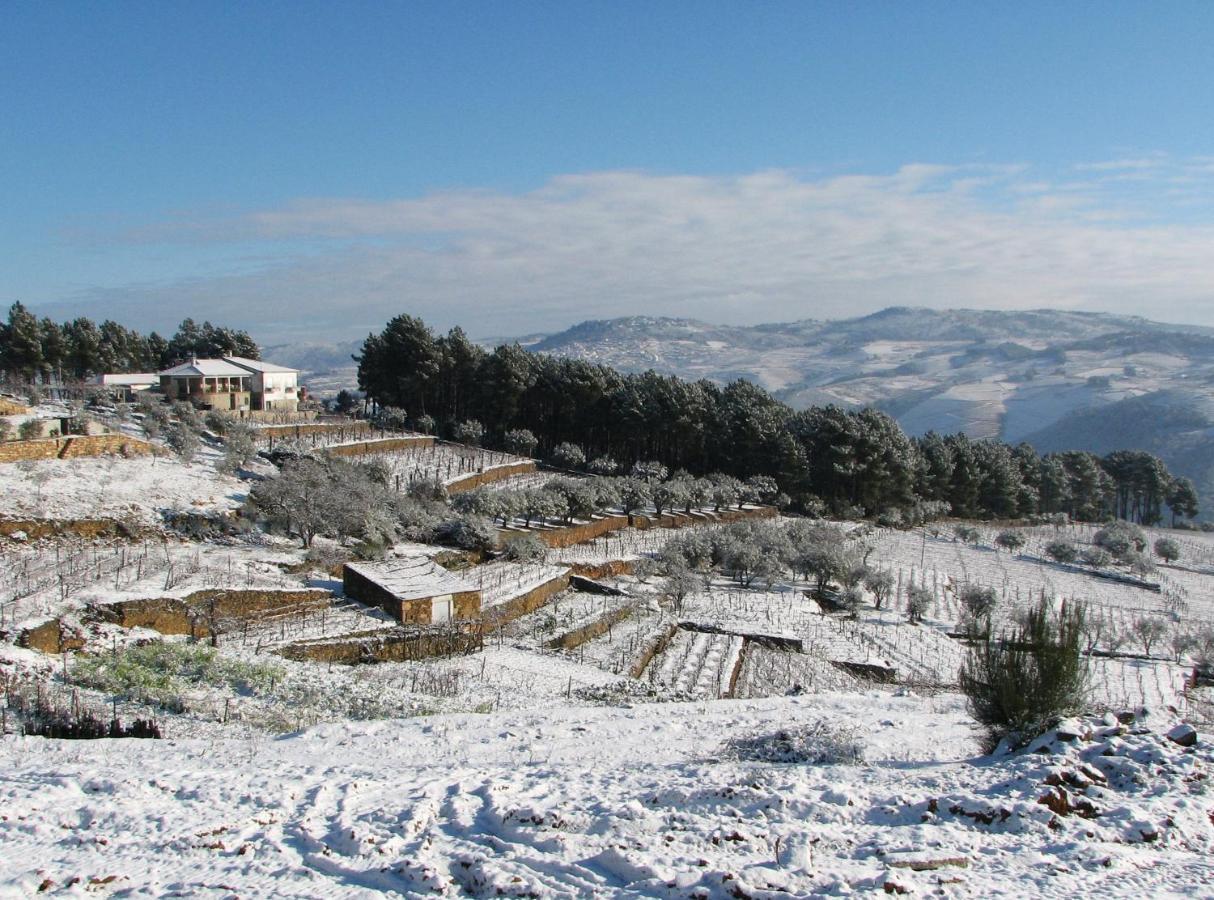 사브로사 Quinta Soutelinho 아파트 외부 사진